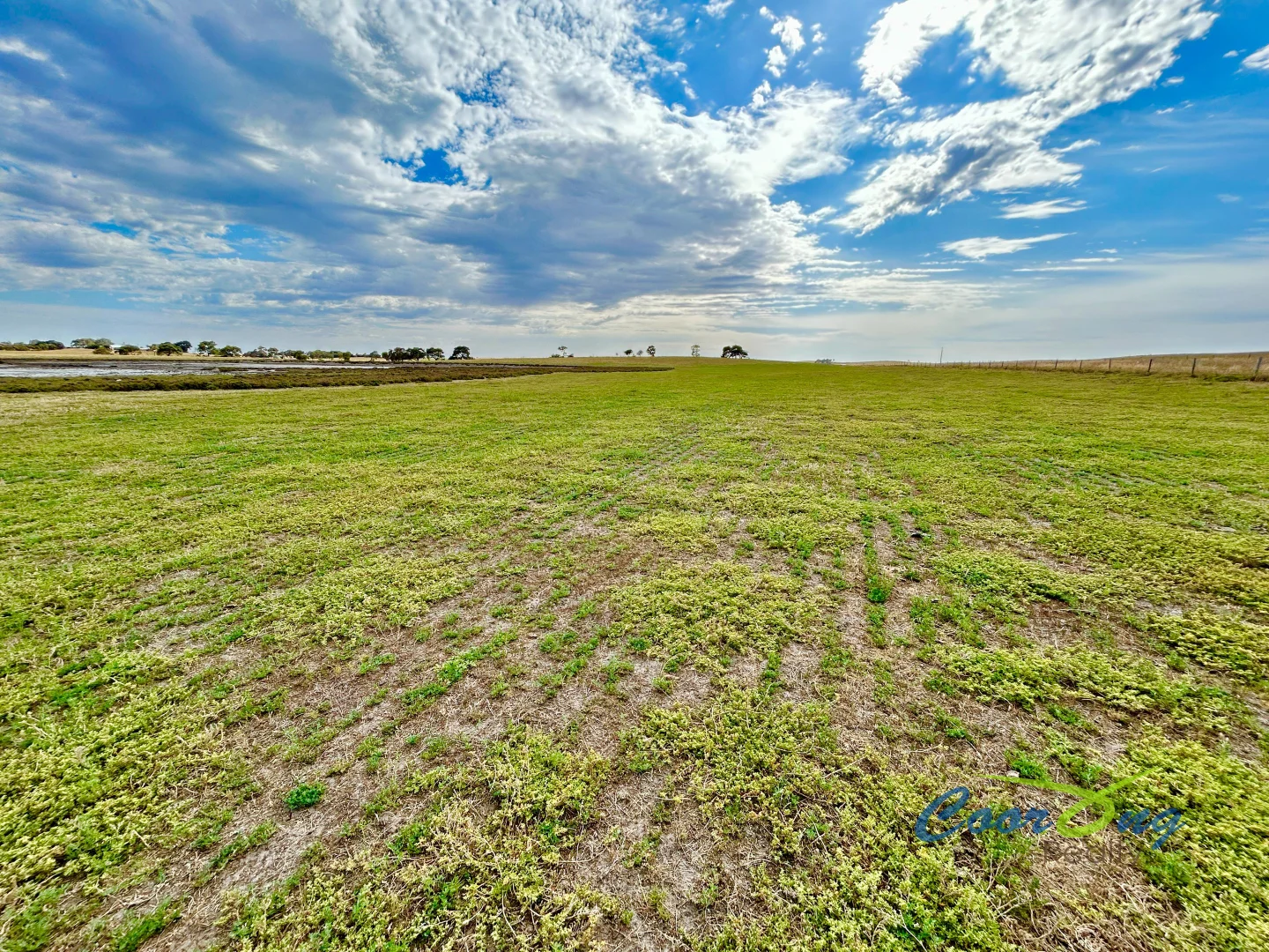 Additional image 10 of 1 Princes Highway, Ashville SA 5259