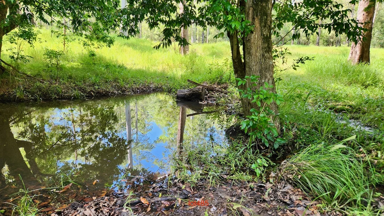 Additional image 6 of Lot 61/485/484/483/7 Bellthorpe Road, Sandy Creek QLD 4515