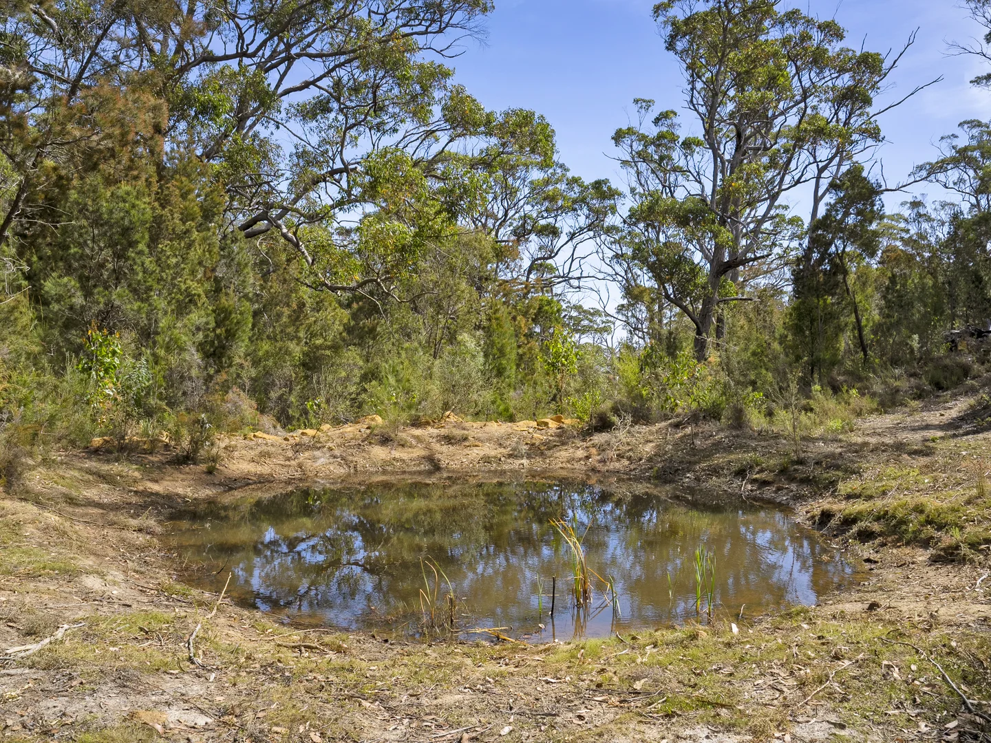 Additional image 4 of 2 and 3 White Beach Road, White Beach TAS 7184