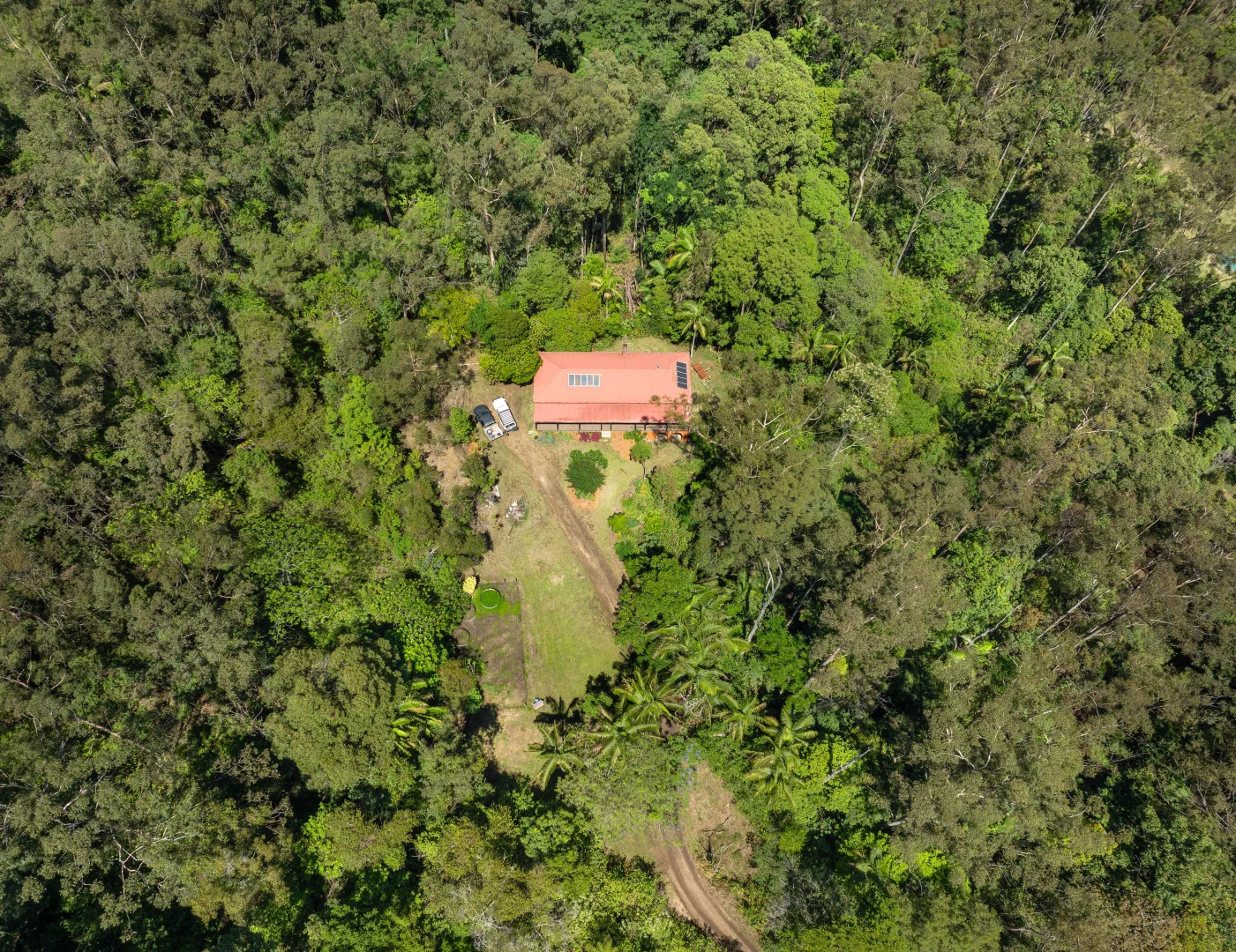 Additional image 6 of 197 Tree Fern Road, Mount Warning NSW 2484