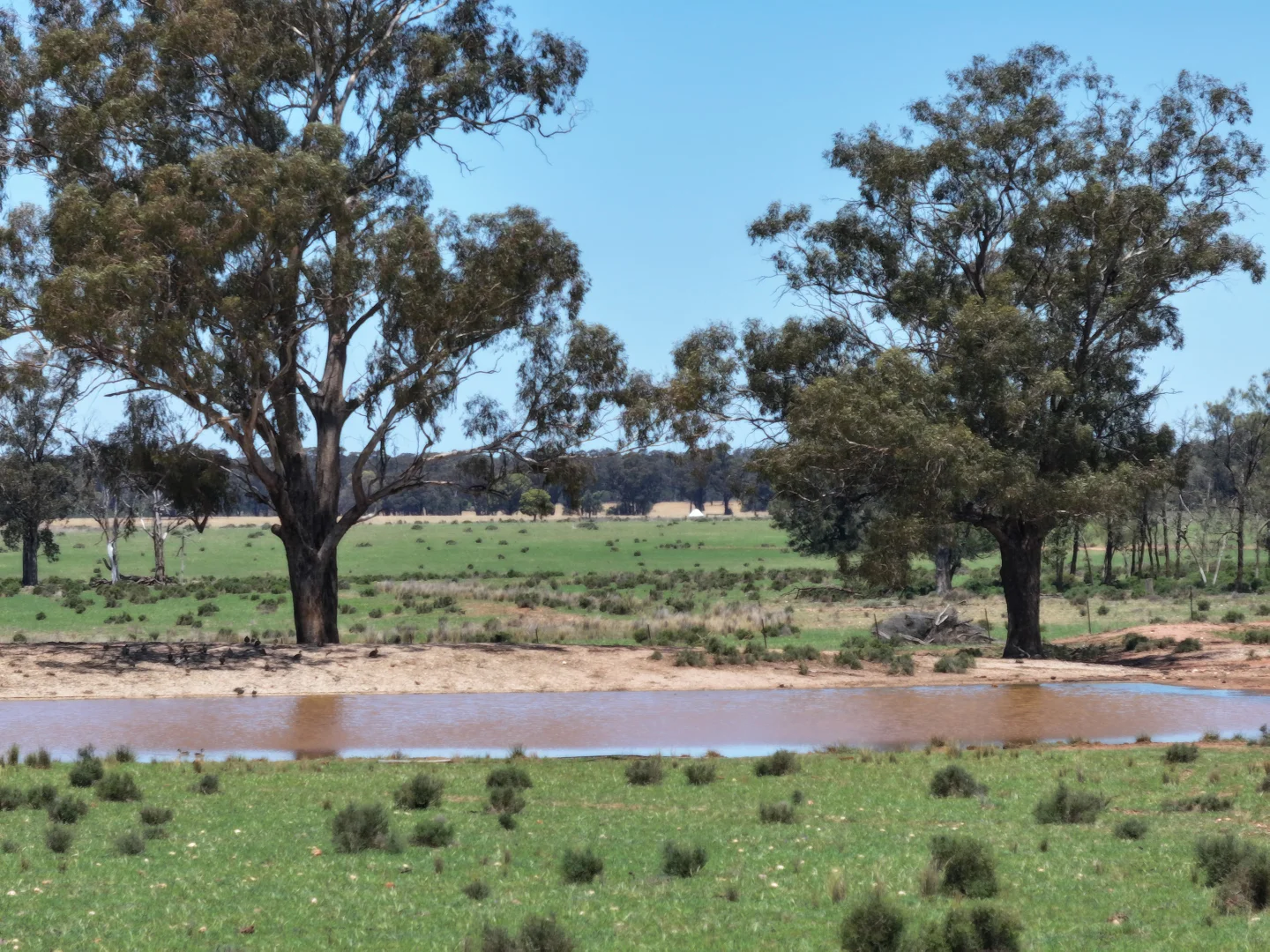 Additional image 7 of 'Mentone' 1521 Bruie Plains Road, Trundle NSW 2875