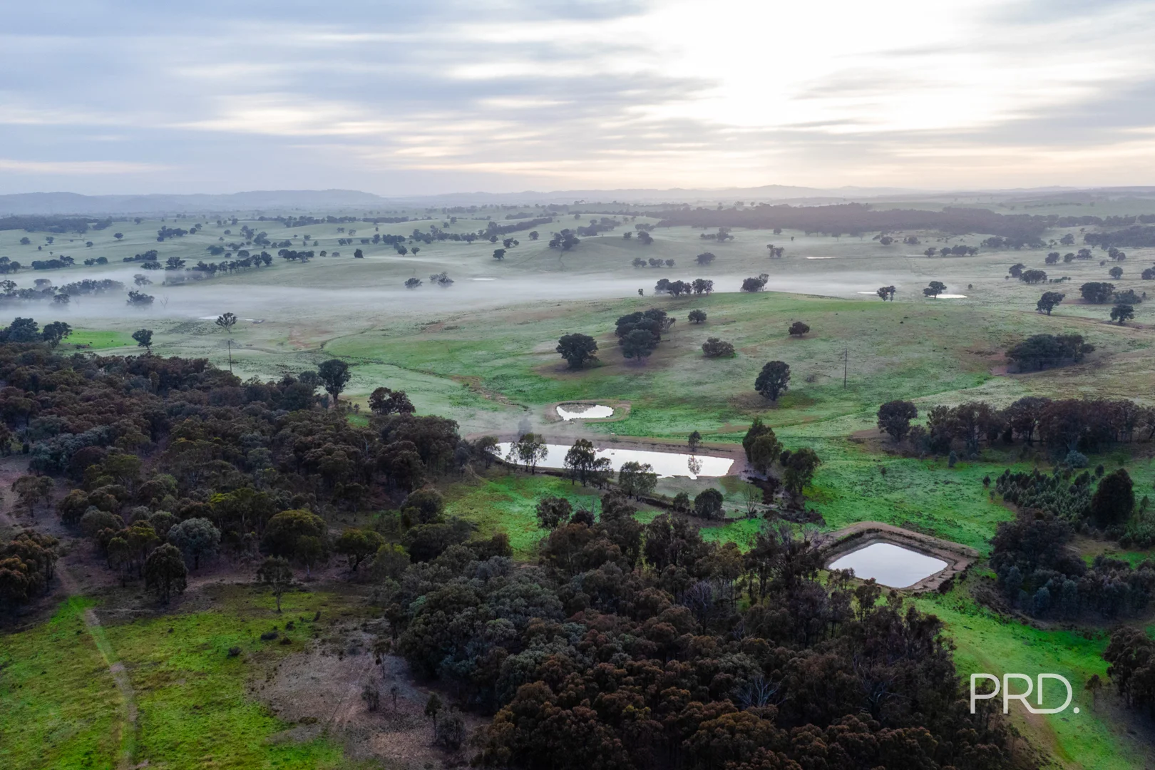 Additional image 34 of 3174 Holbrook Road, Mangoplah NSW 2652