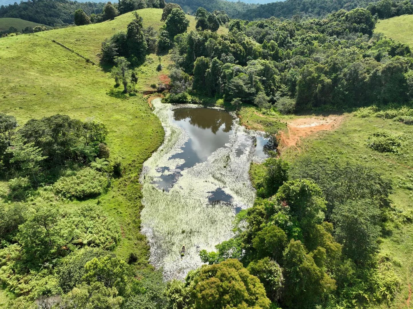 Additional image 32 of 94 Ellinjaa Road, Ellinjaa QLD 4886