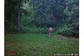 Additional image 21 of 9576 State Route 161 Ext, Iuka, IL, 62849