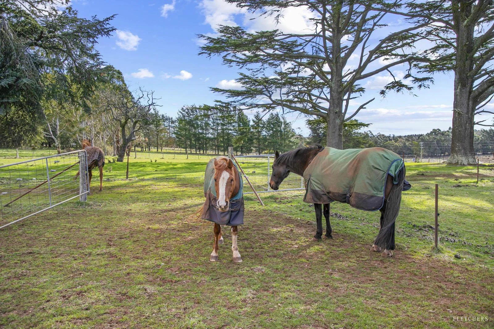 Additional image 17 of 9301 Western Highway, Warrenheip VIC 3352