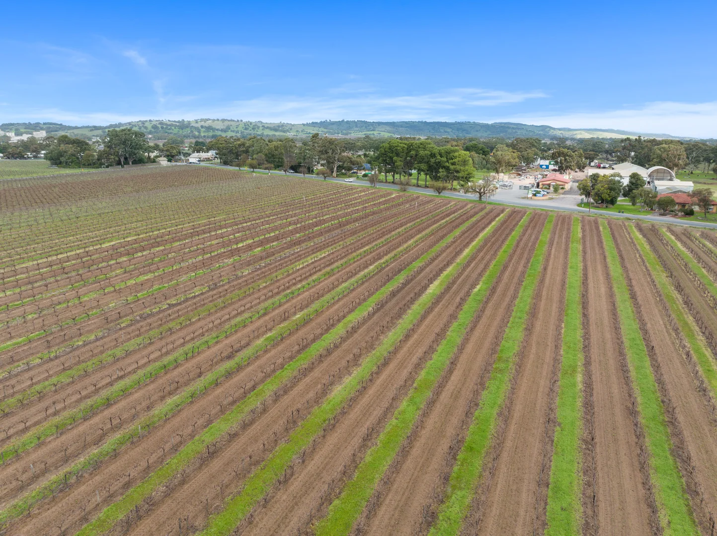 Additional image 16 of Lot 351 Angaston Road, Nuriootpa SA 5355