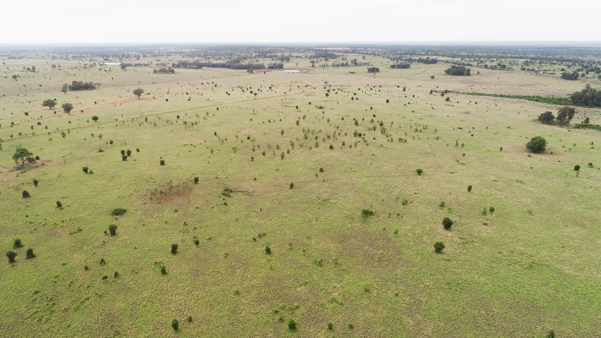 Additional image 14 of 'Bracco' Orallo Road, Roma QLD 4455