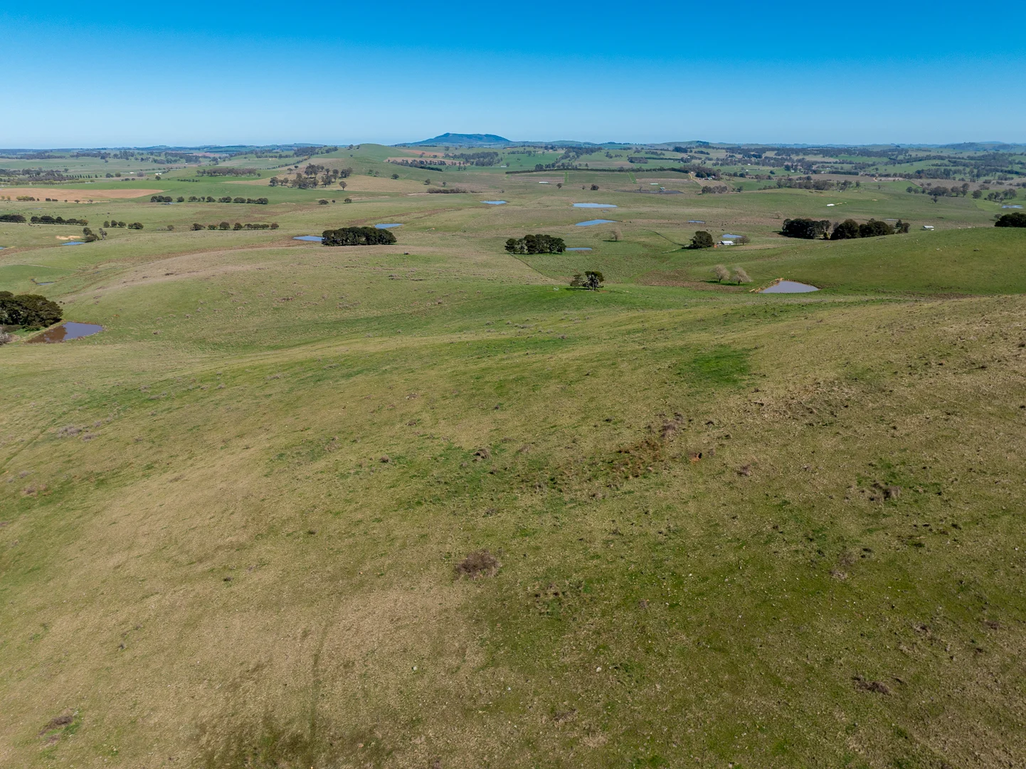 Additional image 18 of 242 Bundaleer Road, Newbridge NSW 2795