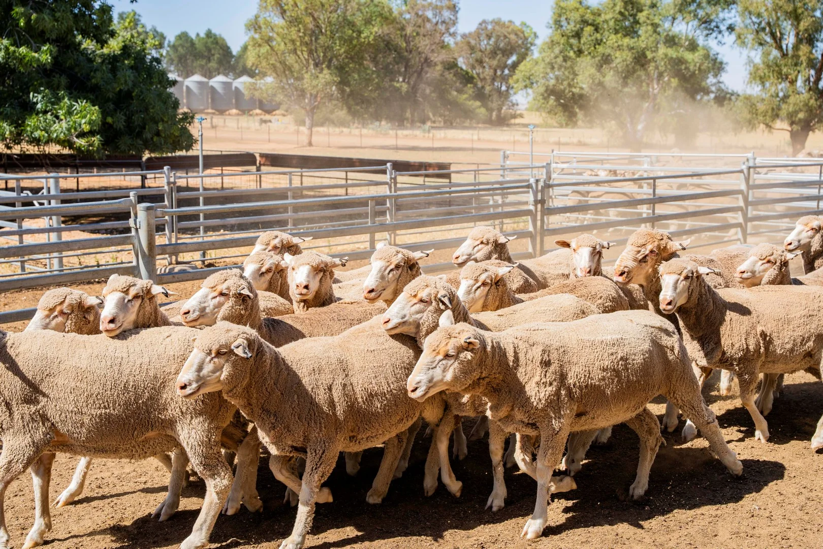 Additional image 23 of 1679 Stockinbingal Road, Cootamundra NSW 2590