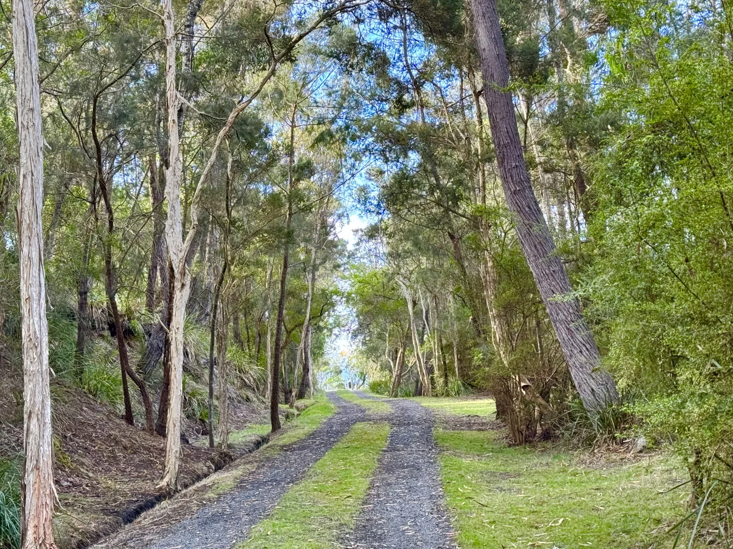 Additional image 2 of 1-15 Poseidon St, St Helens TAS 7216