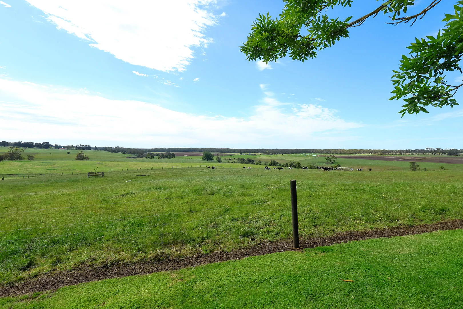 Additional image 16 of 335 Rollos Road, Panmure VIC 3265