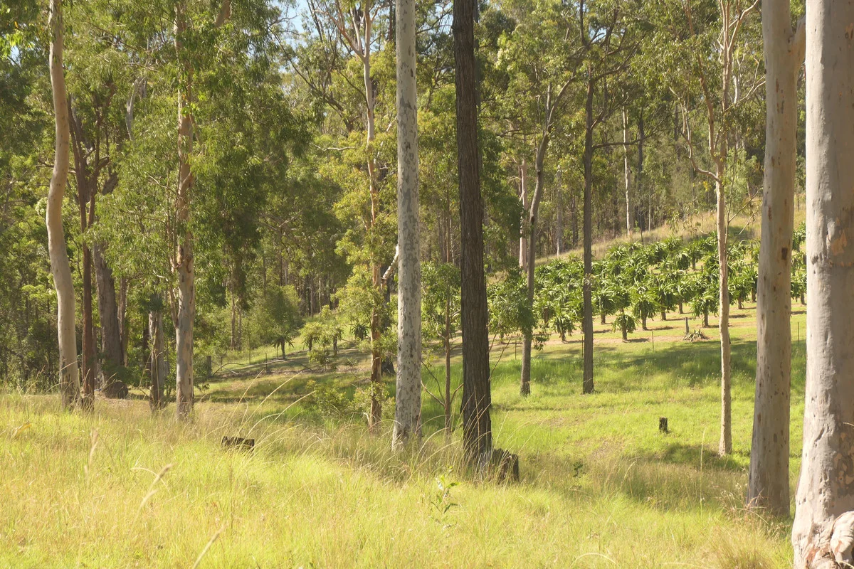 Additional image 13 of Bulldog NSW 2469