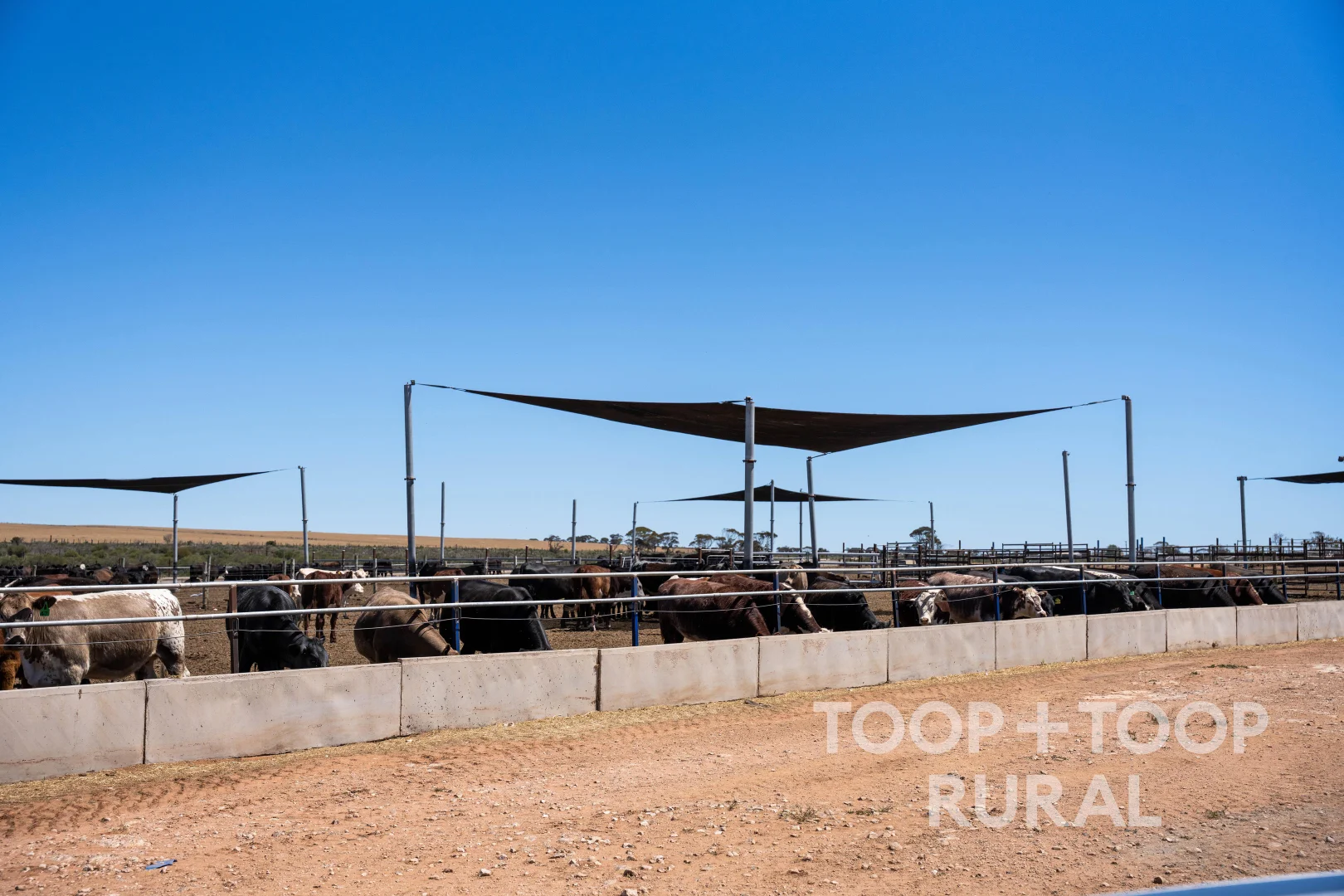 Additional image 8 of 106 Hunter Road, Nildottie SA 5238
