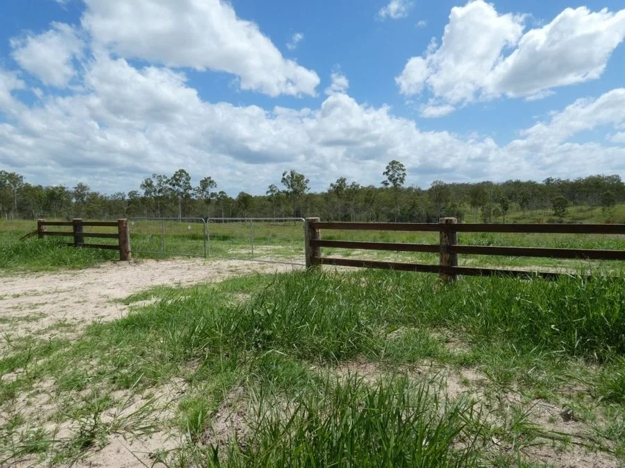 Additional image 2 of Lot 43 Moolyung Road, Waterloo QLD 4673