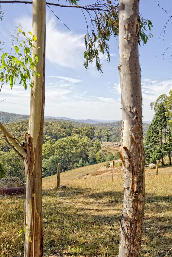 Additional image 5 of 90 Grey Road, Gembrook VIC 3783