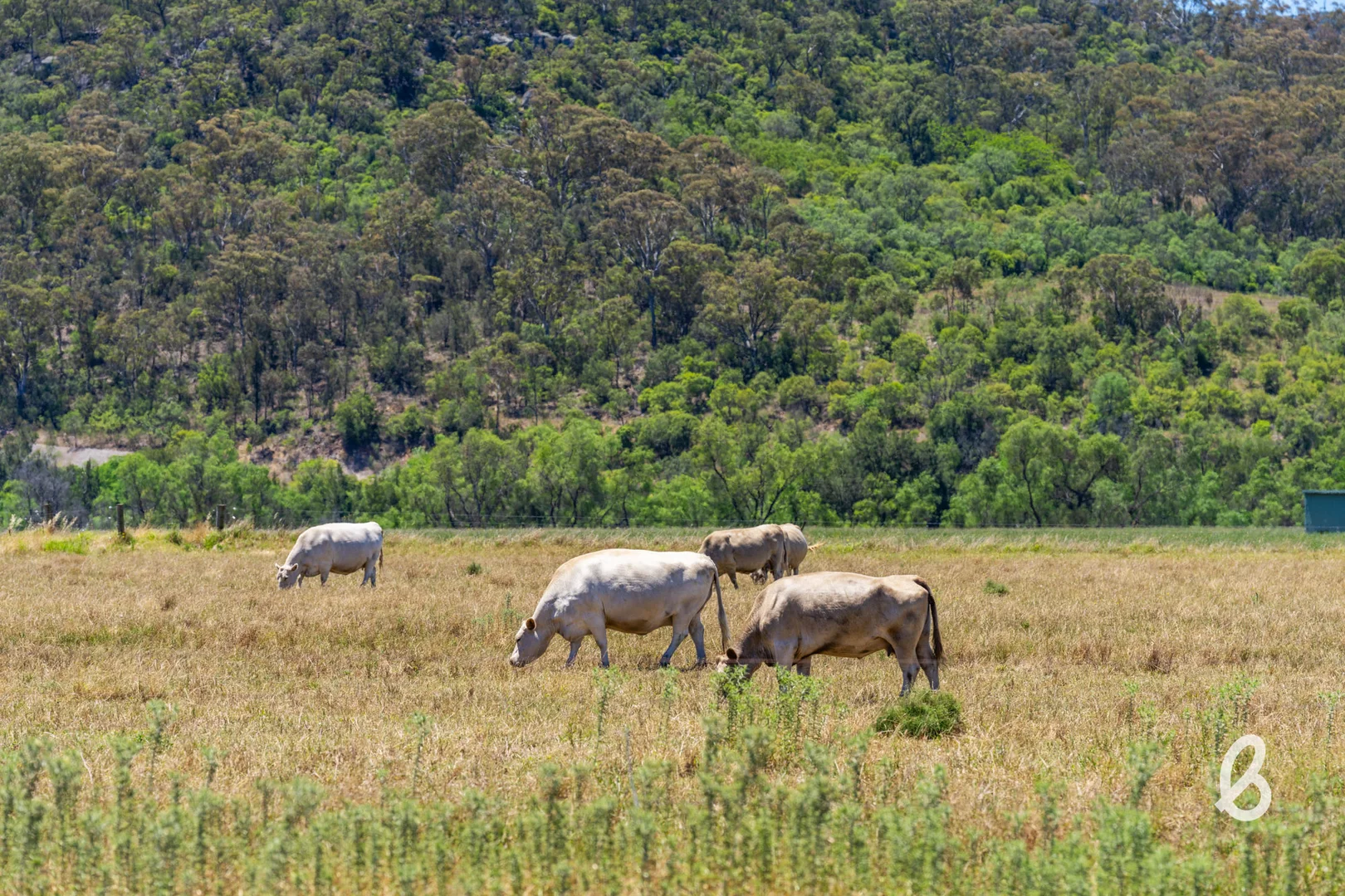 Additional image 41 of 562 Yarrawa Road, Yarrawa NSW 2328
