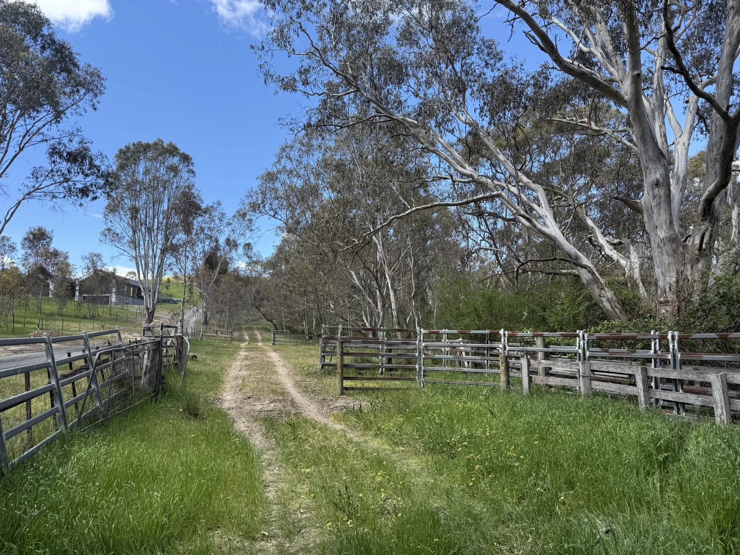 Additional image 6 of 85 Halls Flat Road, Alexandra VIC 3714