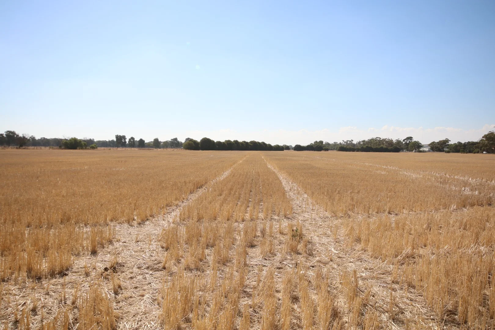 Additional image 33 of Lot 43 O'Donnell Rd, Rochester VIC 3561