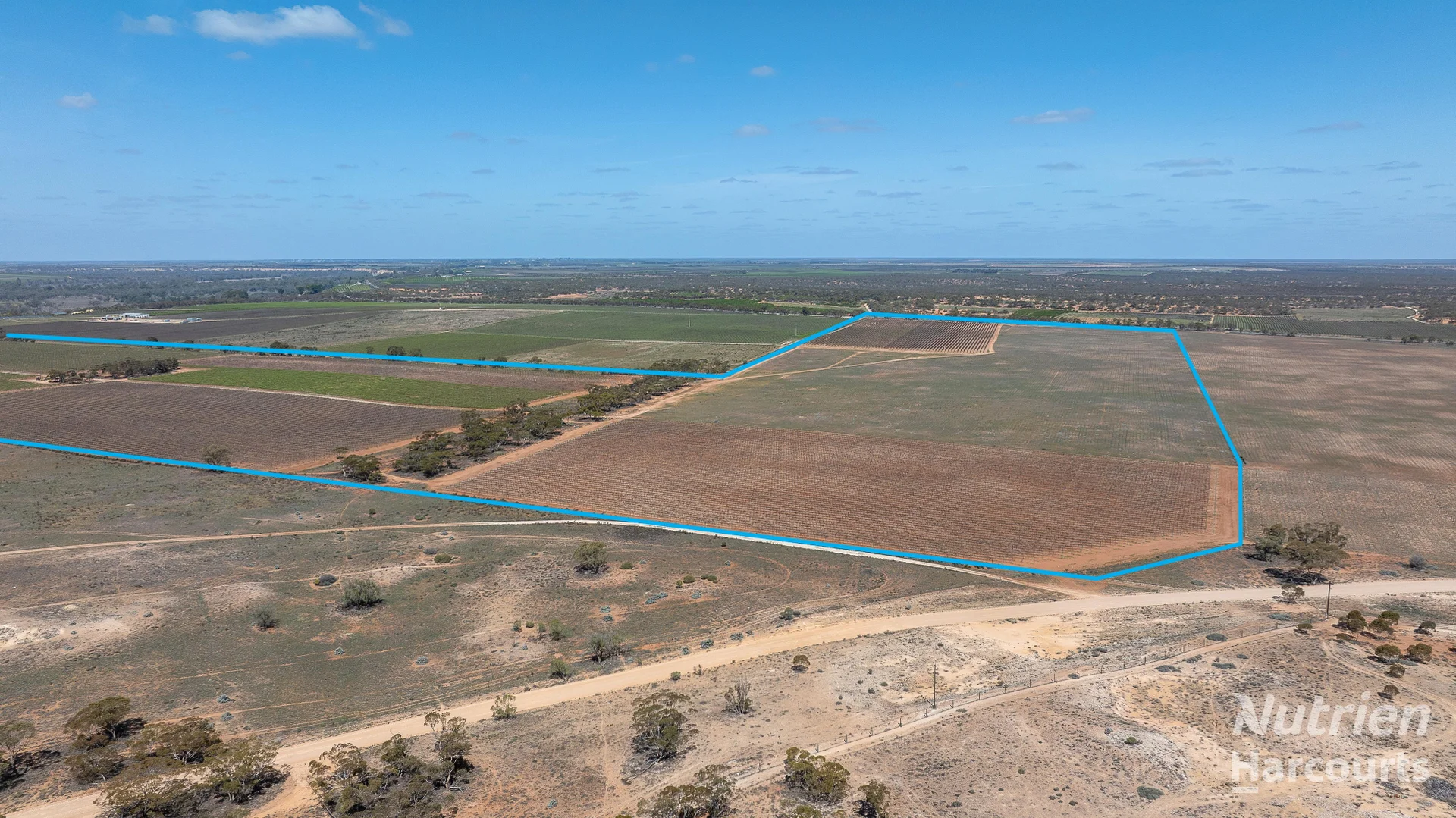 Additional image 3 of 126 Riverboat Road, Cadell SA 5321