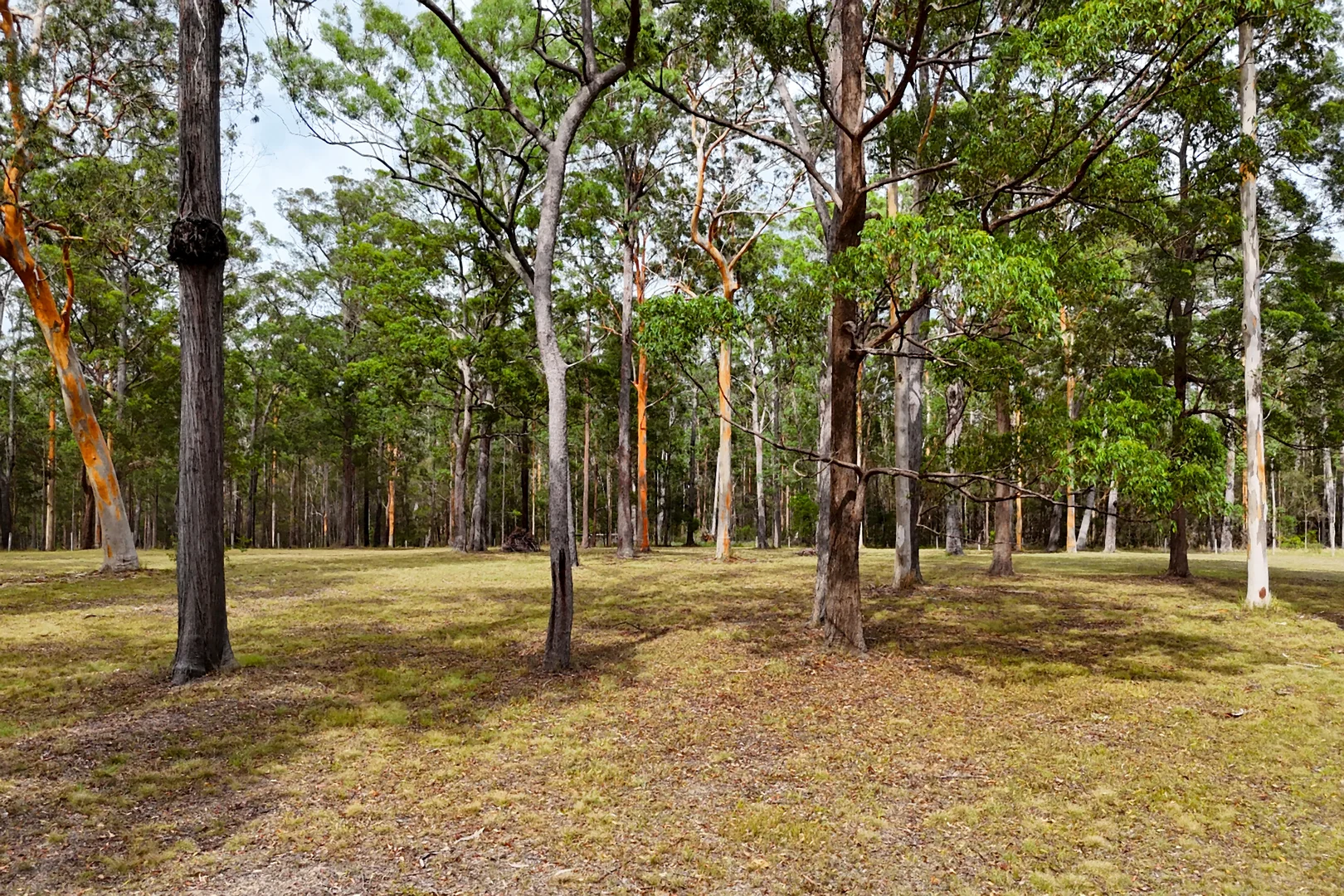 Additional image 29 of 75 Smiths Creek Road, Kundabung NSW 2441