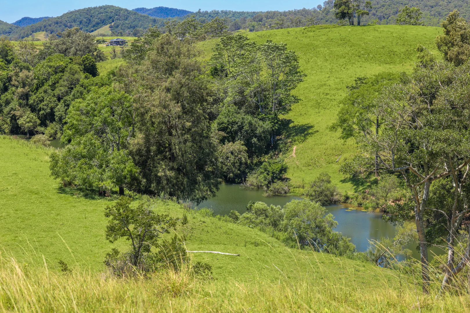 Additional image 14 of 55 Argues Rd, Upper Taylors Arm NSW 2447