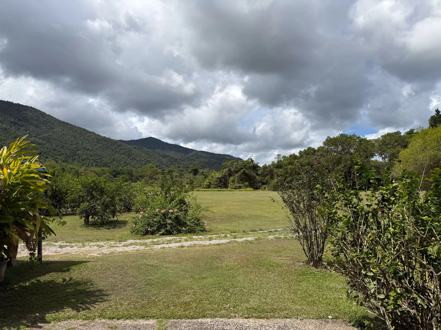 Additional image 30 of 39 O'Hanlon Rd, Feluga QLD 4854