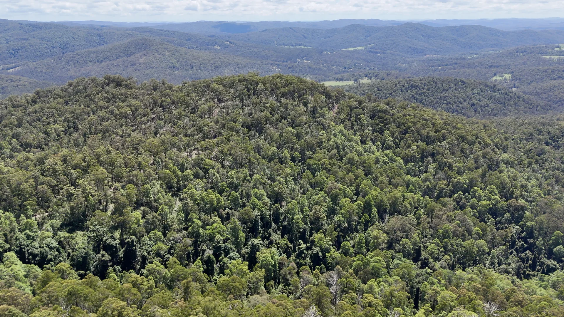 Additional image 3 of 191 Sheepstation Creek Road, Dundurrabin NSW 2453