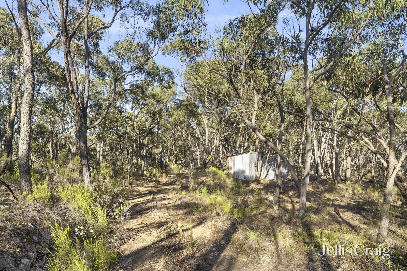 Additional image 7 of 589 Vaughan Springs Road, Drummond North VIC 3446