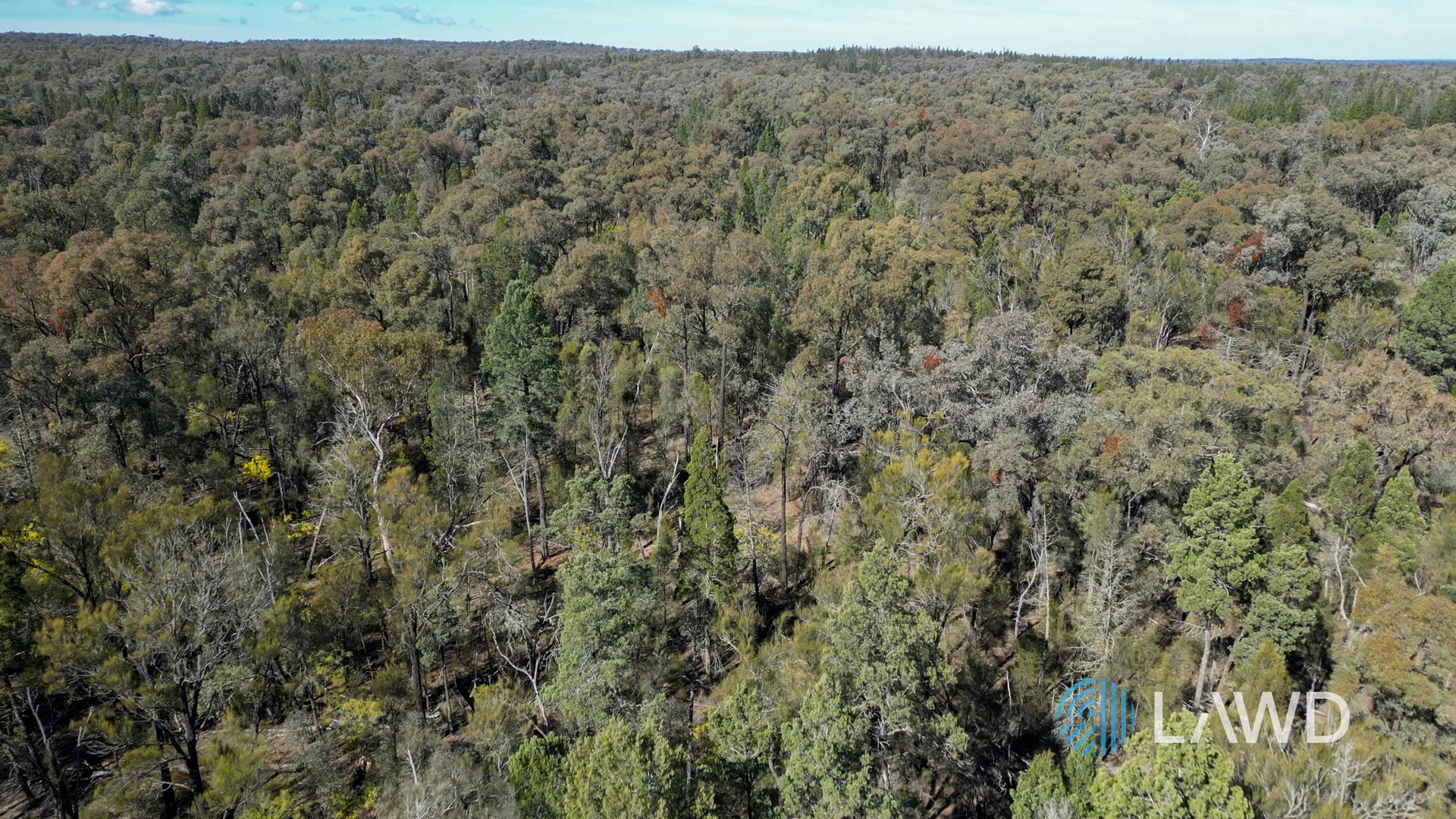 Additional image 14 of 1587 Denmire Road, Mendooran NSW 2842