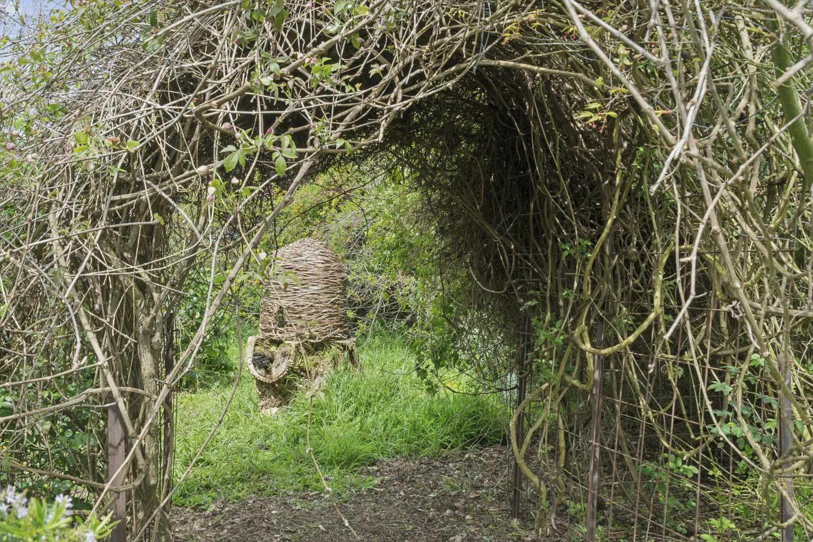 Additional image 20 of 331 Glenormiston Road, Glenormiston South VIC 3265