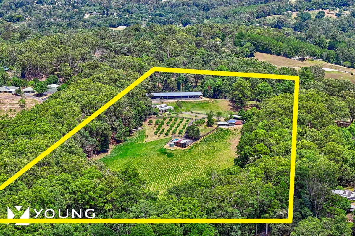 Additional image 34 of 22-40 Hamilton Road, West Woombye QLD 4559