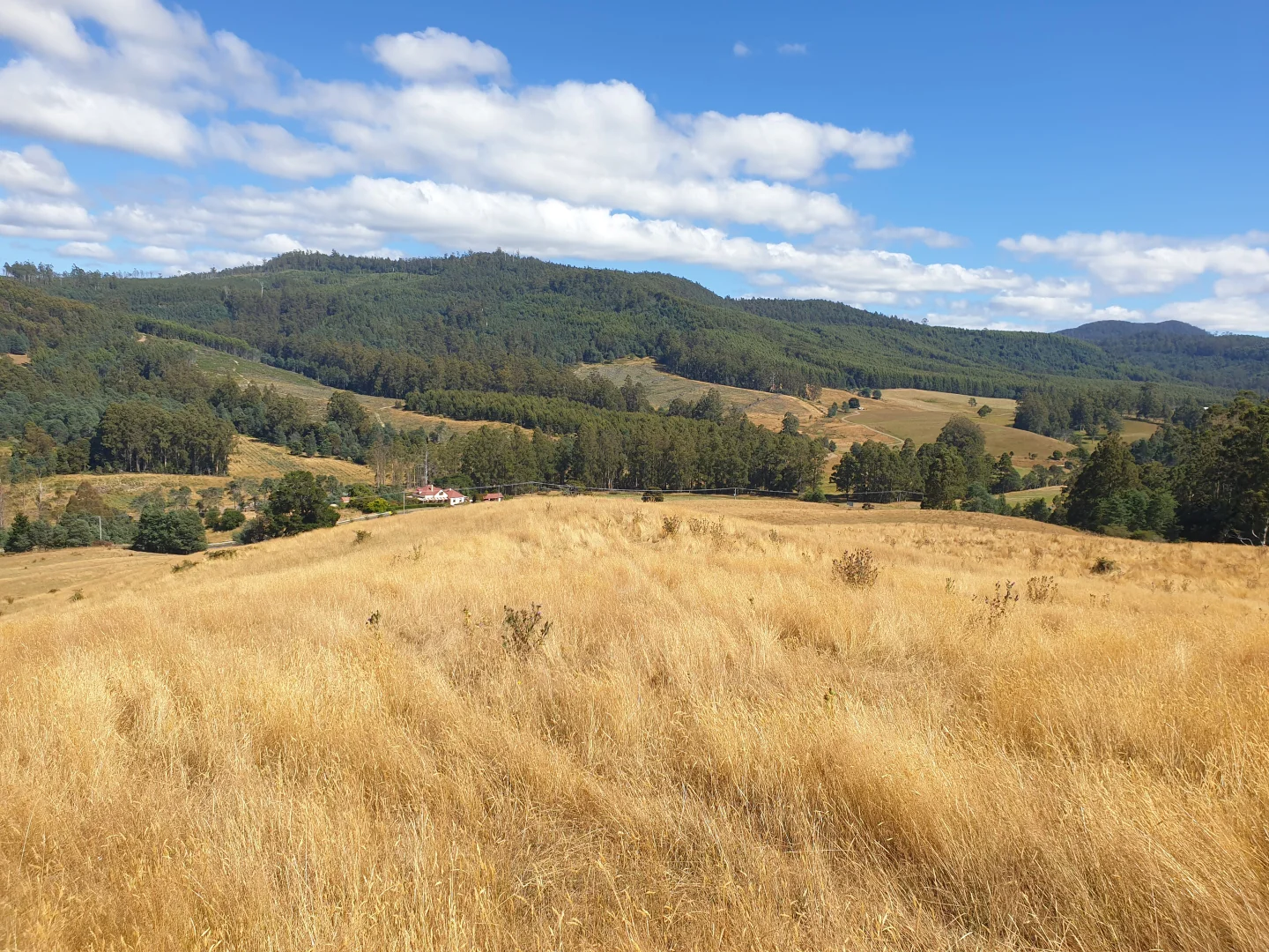 Additional image 2 of Lot 1 Huon Highway, Dover TAS 7117