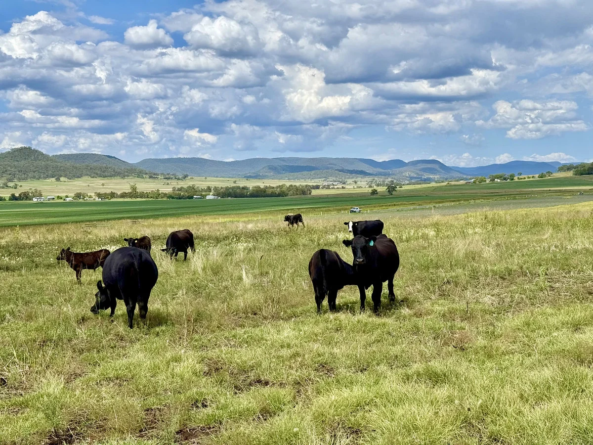 Additional image 8 of 742 Goomburra Road, Berat QLD 4362