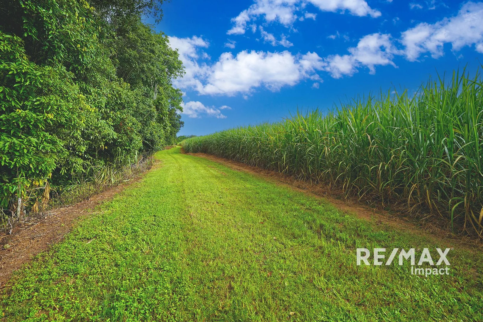 Additional image 13 of 4749 Gillies Range Road, East Barron QLD 4883