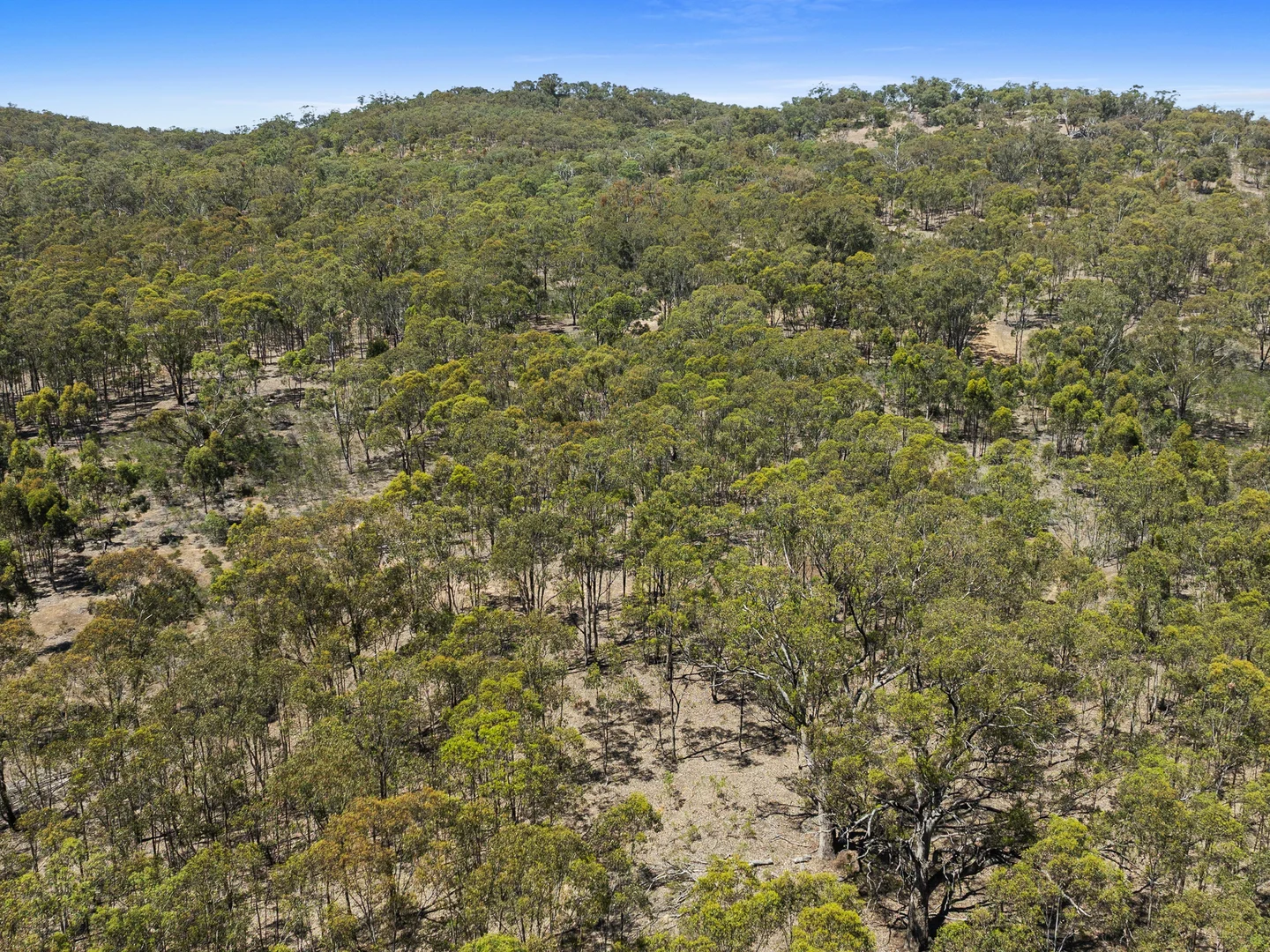 Additional image 5 of CA 127 Nagambie-Rushworth Road, Bailieston VIC 3608