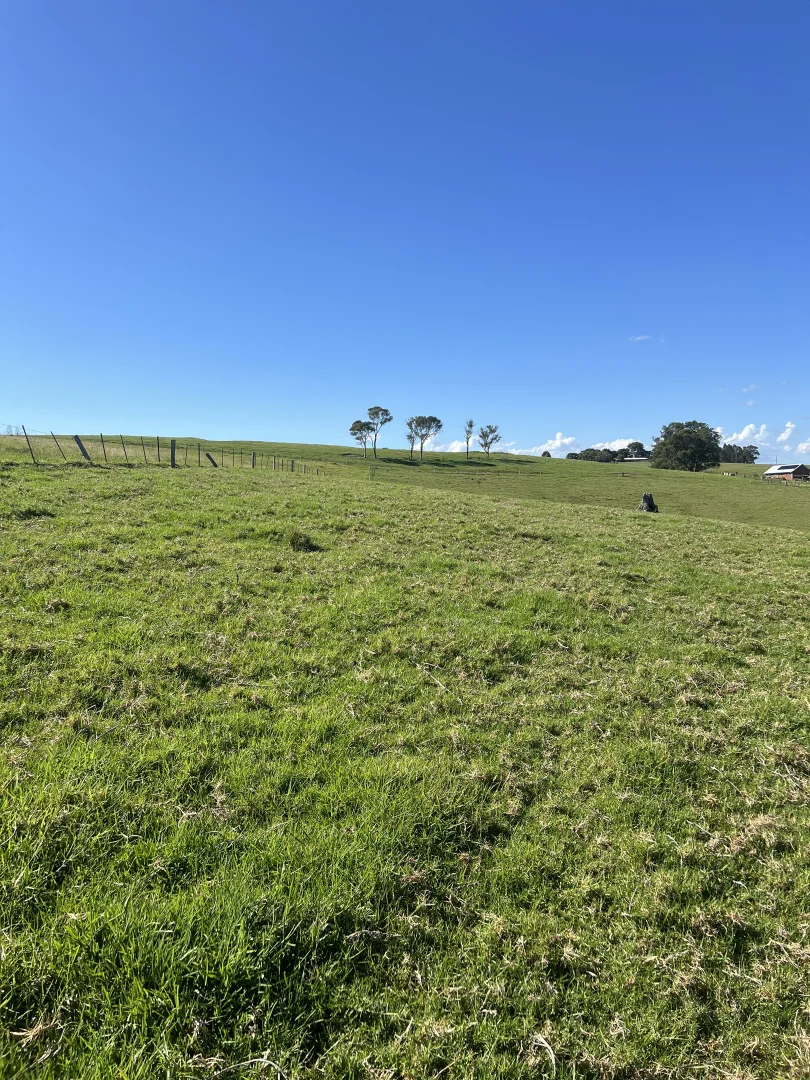 Additional image 4 of 471 Princes Highway, Orbost VIC 3888