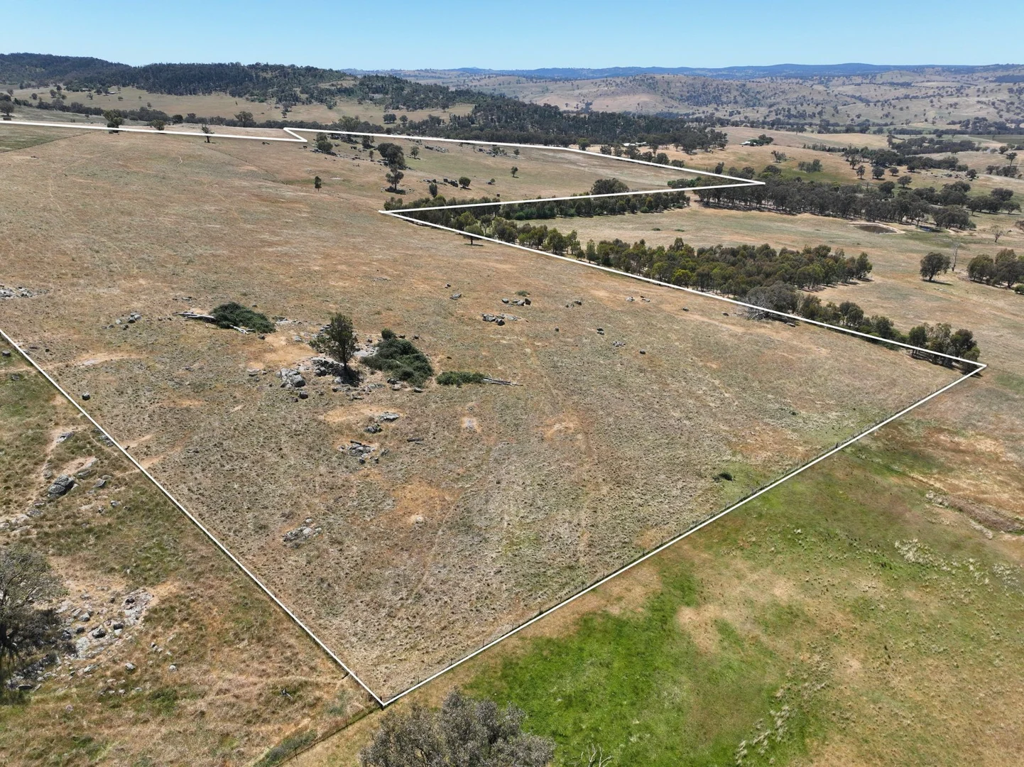 Additional image 8 of 1432 Pine Mount Road, Darbys Falls NSW 2793