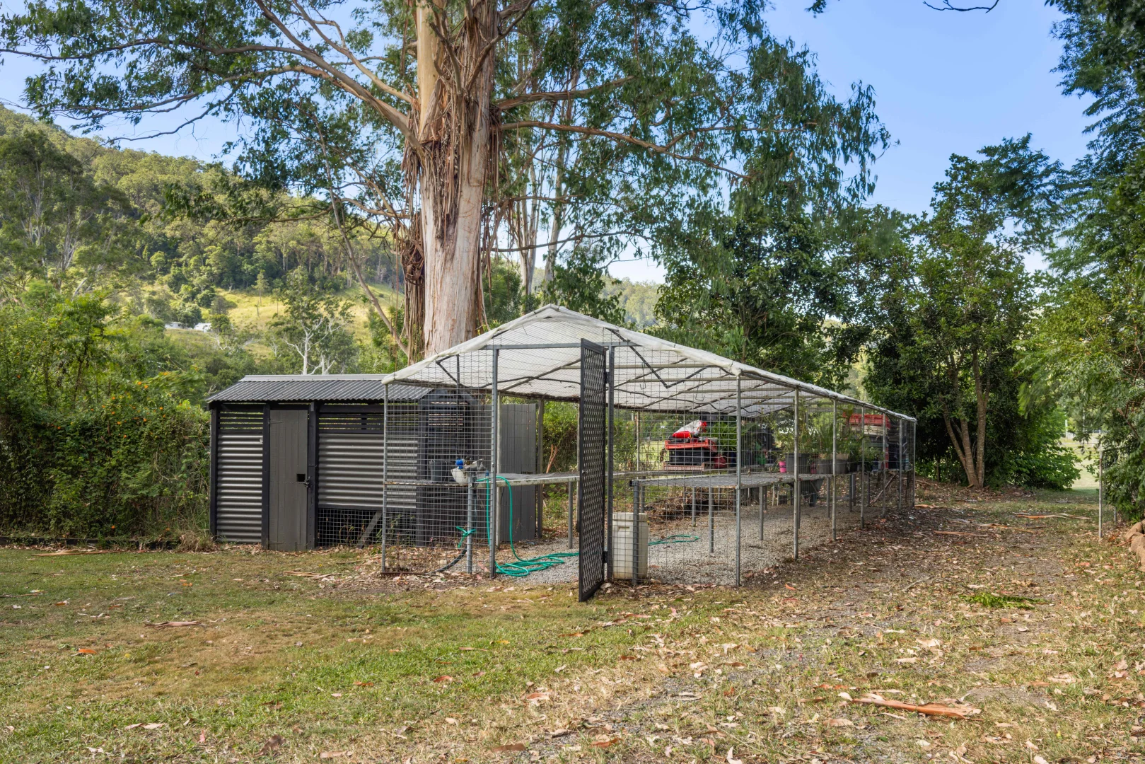 Additional image 35 of 704 Lamington National Park Road, Canungra QLD 4275