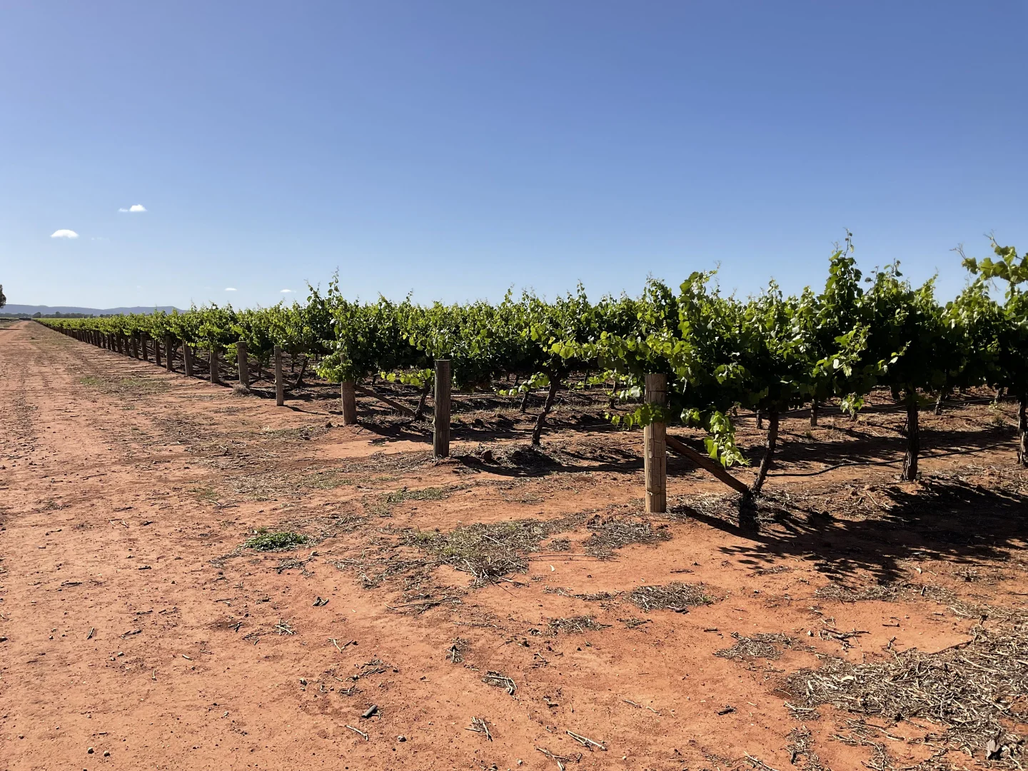 Additional image 3 of 1576 Rankins Springs Road, Myall Park NSW 2681