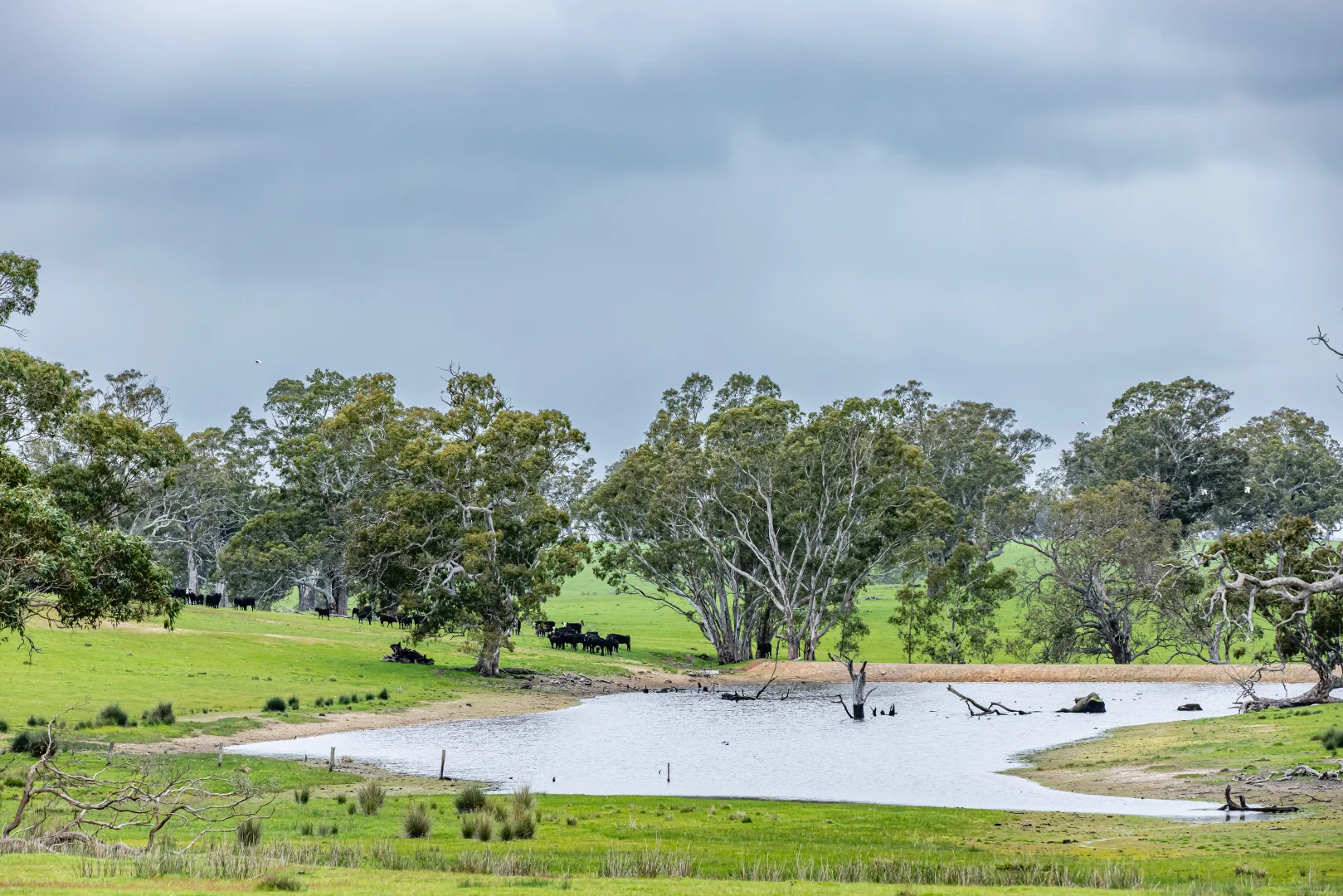 Additional image 11 of 3155 Casterton-Edenhope Road, Chetwynd VIC 3312