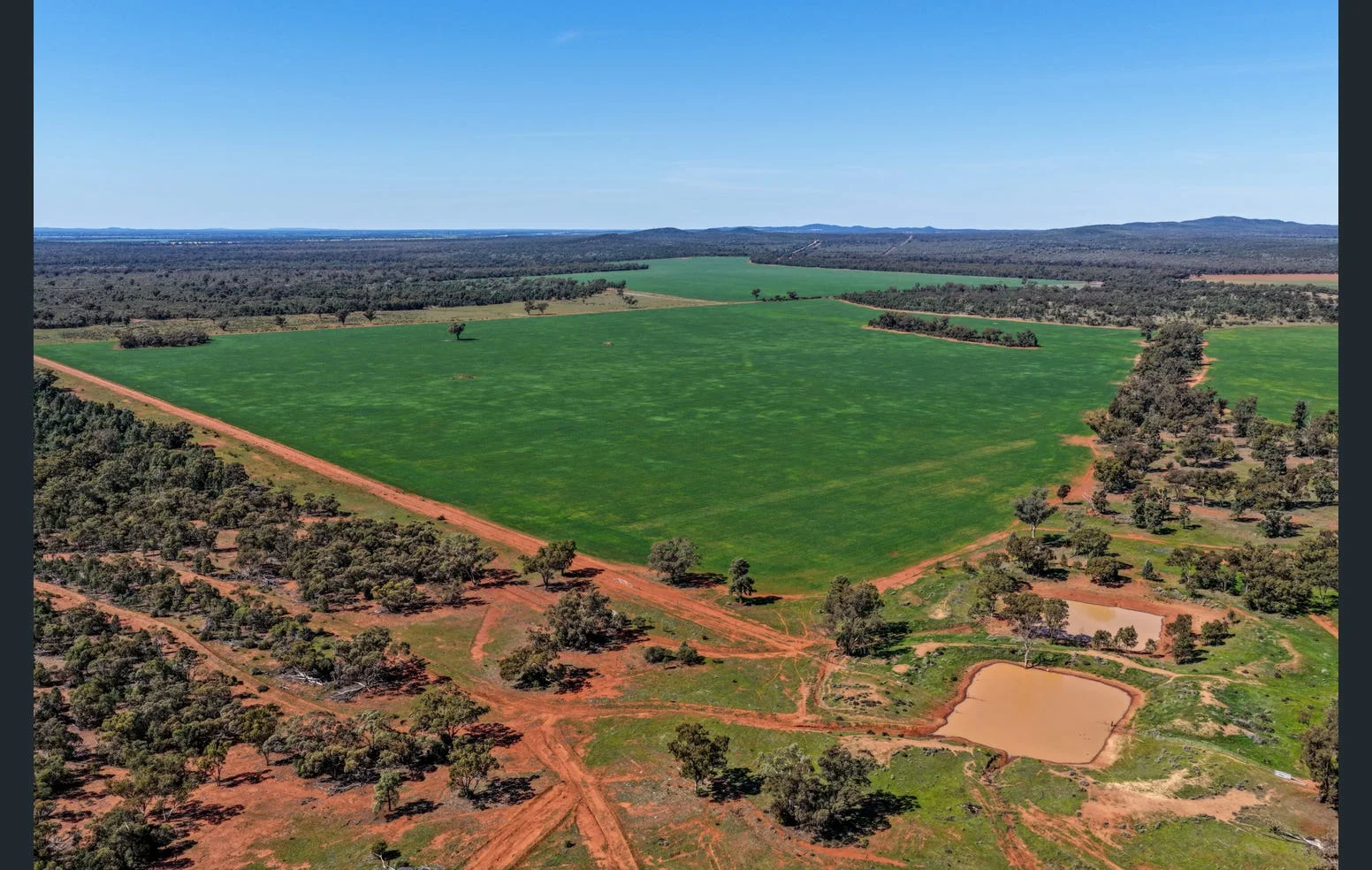 Additional image 8 of 'Black Range' 2880 Tallebung Road, Eremerang NSW 2877