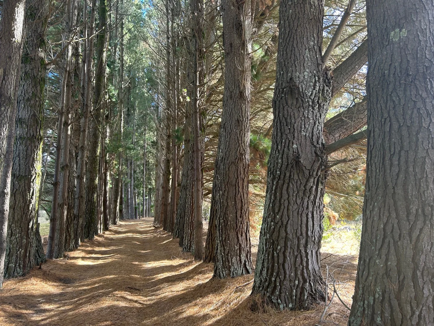 Additional image 21 of 85 Bluemount Road Trentham, Trentham VIC 3458