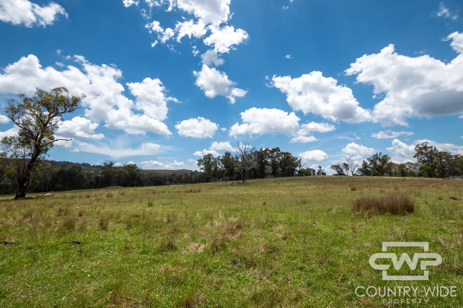 Additional image 5 of 29 Cemetery Rd, Torrington NSW 2371