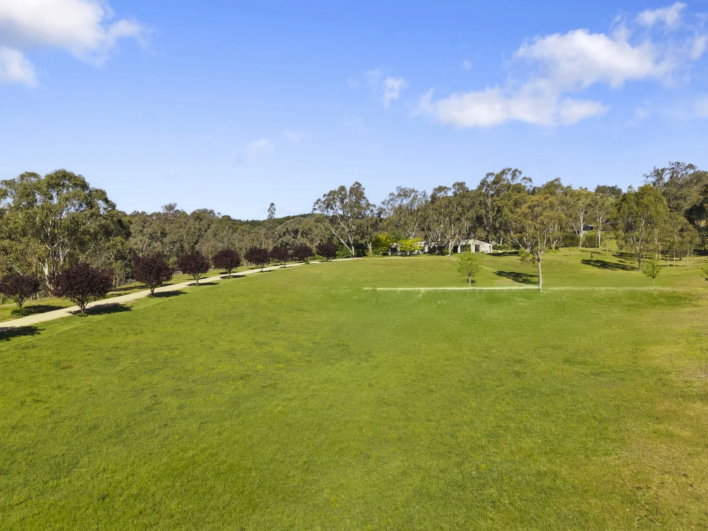 Additional image 13 of 205 Banumum Road, Mansfield VIC 3722