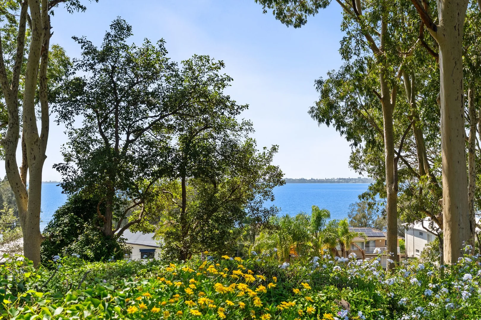 Additional image 6 of 23 Grevillea Crescent, Berkeley Vale NSW 2261