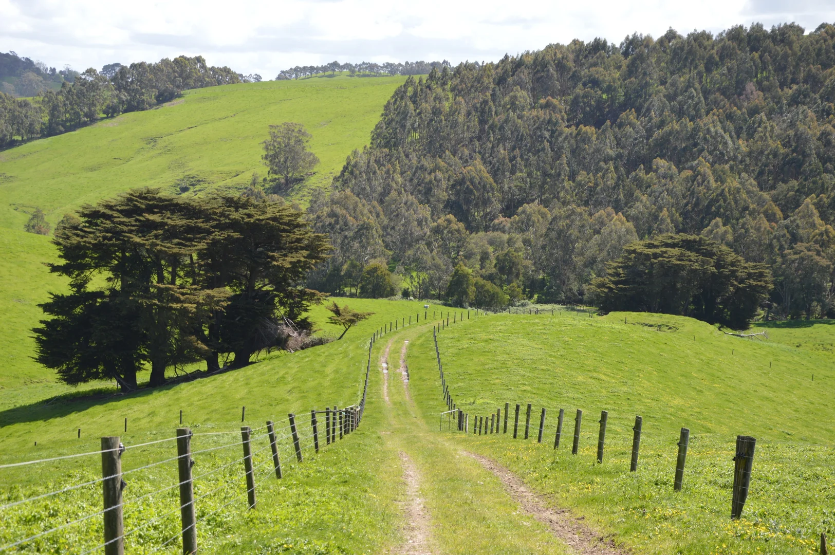 Additional image 16 of 59 Bellview Lane, Korumburra VIC 3950