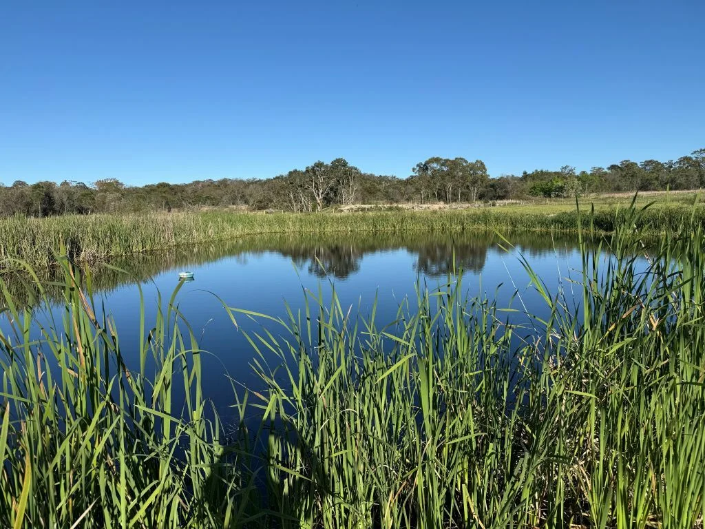 Additional image 3 of Lot 1/1065 Amiens Rd, Amiens QLD 4380