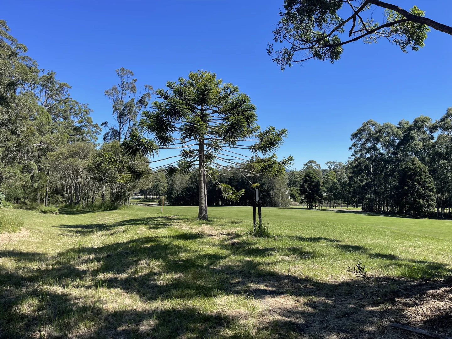 Additional image 4 of 1 Golden Wattle Way, Tallwoods Village NSW 2430