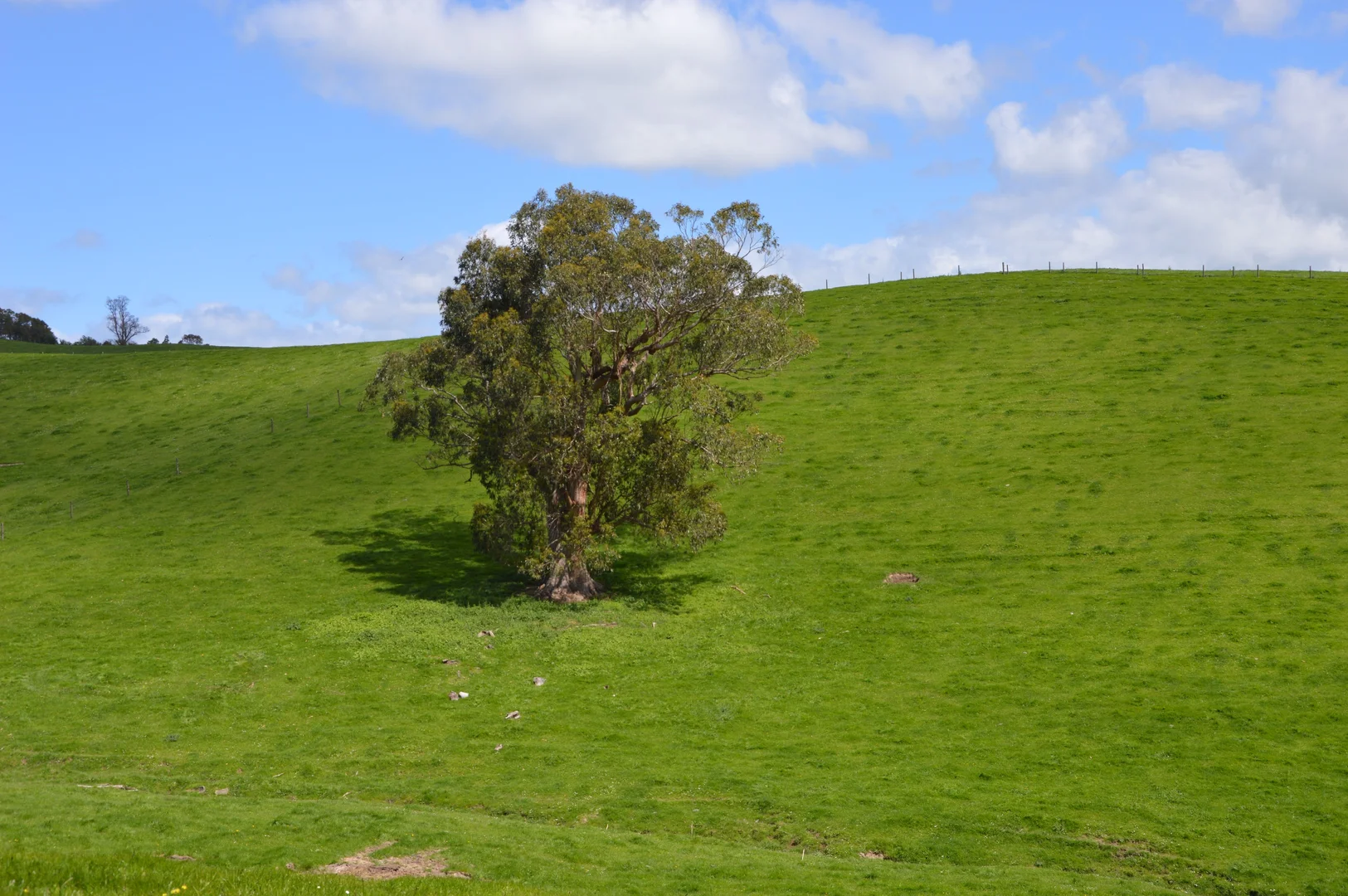 Additional image 21 of 59 Bellview Lane, Korumburra VIC 3950