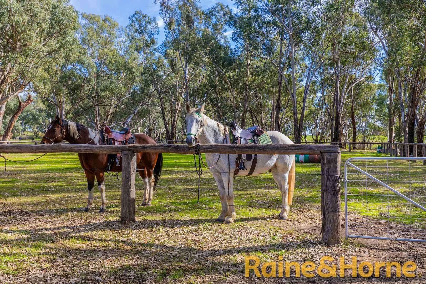 Additional image 16 of 12L Newell Highway, Dubbo NSW 2830